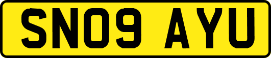 SN09AYU