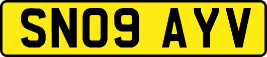 SN09AYV