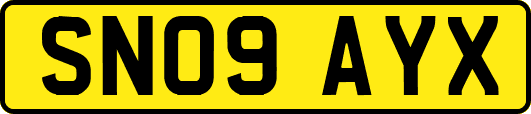 SN09AYX