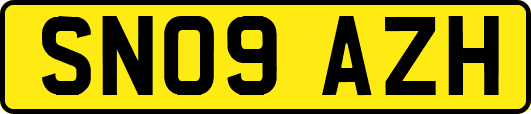 SN09AZH