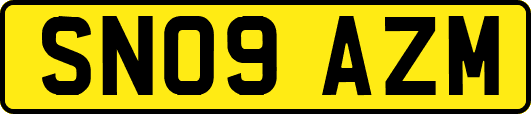 SN09AZM