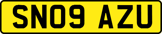 SN09AZU