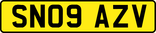 SN09AZV