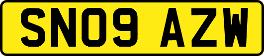 SN09AZW