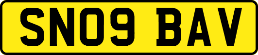 SN09BAV