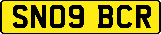 SN09BCR