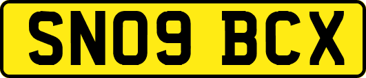 SN09BCX