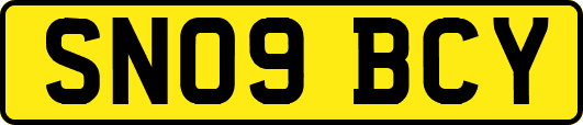SN09BCY