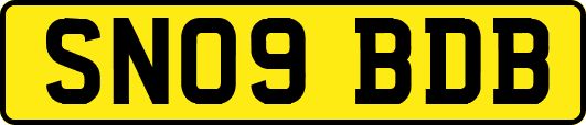 SN09BDB