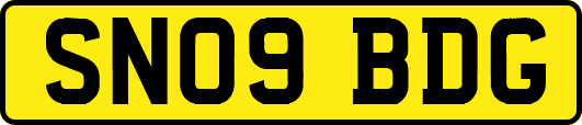 SN09BDG