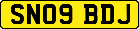 SN09BDJ