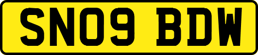 SN09BDW