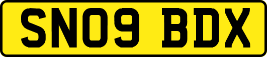 SN09BDX