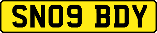 SN09BDY