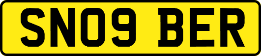 SN09BER