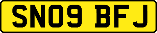 SN09BFJ