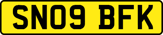 SN09BFK
