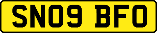 SN09BFO