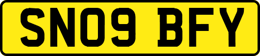 SN09BFY