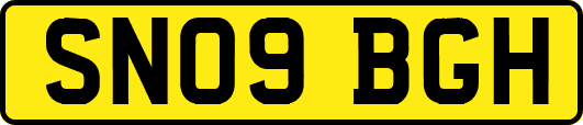 SN09BGH