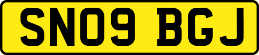 SN09BGJ