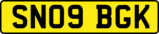 SN09BGK