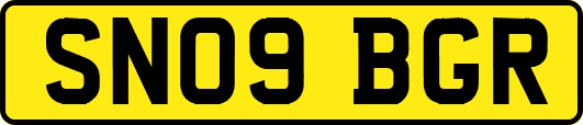 SN09BGR