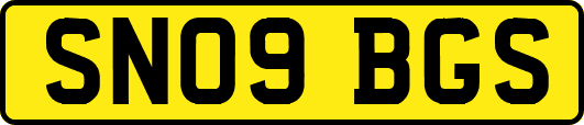 SN09BGS