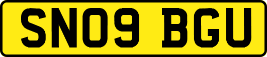 SN09BGU