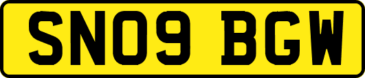 SN09BGW