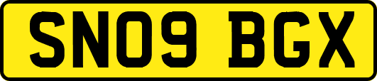 SN09BGX
