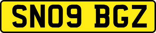 SN09BGZ
