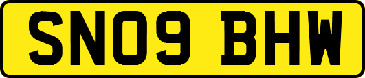 SN09BHW