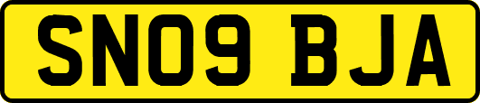 SN09BJA