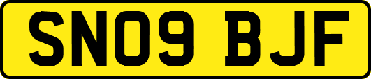 SN09BJF