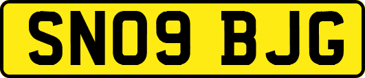 SN09BJG