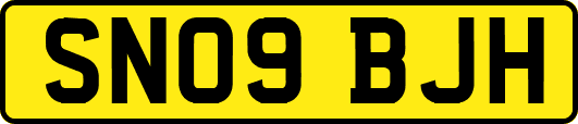 SN09BJH