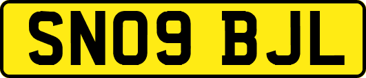 SN09BJL