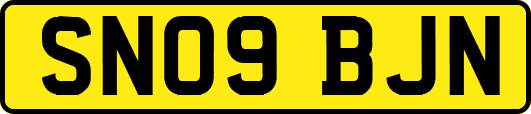 SN09BJN