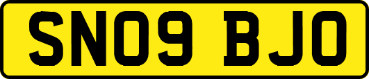 SN09BJO