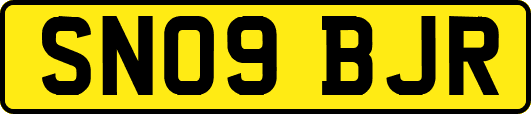 SN09BJR