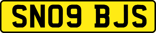 SN09BJS