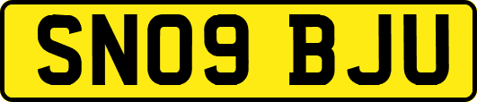 SN09BJU