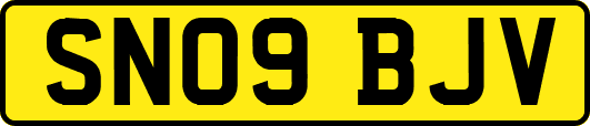 SN09BJV