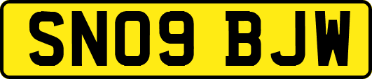 SN09BJW