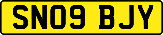 SN09BJY