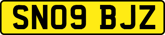 SN09BJZ