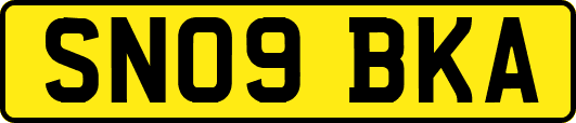 SN09BKA