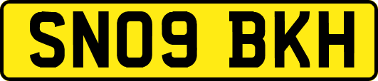 SN09BKH