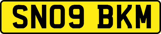 SN09BKM